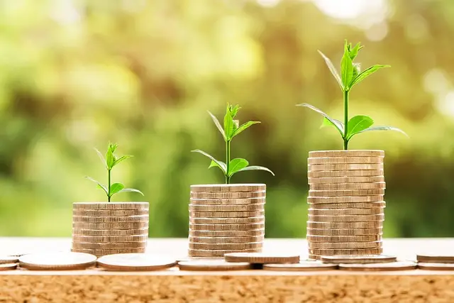 Planta crescendo sobre moedas representando crescimento financeiro através de investimentos seguros